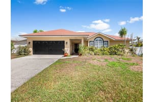 3126 SWAN LANE, SAFETY HARBOR, FL 34695 - MLS#MFRTB8491873