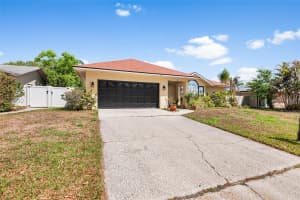 3126 SWAN LANE, SAFETY HARBOR, FL 34695 - MLS#MFRTB8491873