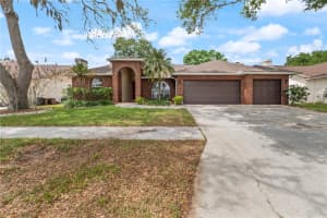 931 BALSAMINA DRIVE, BRANDON, FL 33510 - MLS#MFRTB8491881