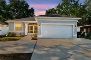 1208 DR ML KING JR STREET, SAFETY HARBOR, FL 34695 - MLS#MFRTB8491901