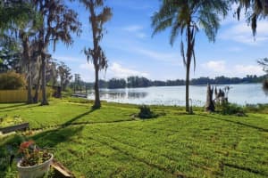 700 DRUID WAY, LUTZ, FL 33548 - MLS#MFRTB8491935