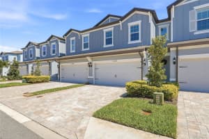 11231 BEACH WALK WAY, ST PETERSBURG, FL 33716 - MLS#MFRTB8491947