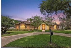 16533 HUTCHISON ROAD, ODESSA, FL 33556 - MLS#MFRTB8491954