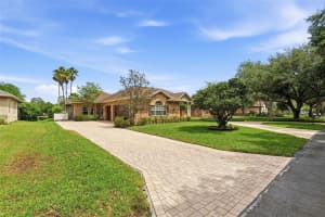 16533 HUTCHISON ROAD, ODESSA, FL 33556 - MLS#MFRTB8491954