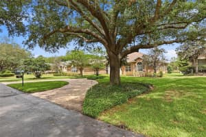 16533 HUTCHISON ROAD, ODESSA, FL 33556 - MLS#MFRTB8491954