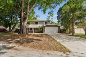1907 RAMBLING LANE, BRANDON, FL 33510 - MLS#MFRTB8491986