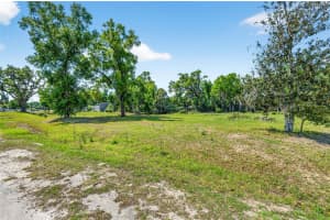 Lot 3 FRAZEE COURT, DADE CITY, FL 33523 - MLS#MFRTB8492015