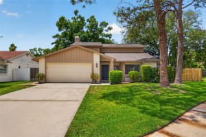 15710 PINTO PLACE, TAMPA, FL 33624 - MLS#MFRTB8492076