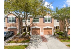 26645 Castleview Way, WESLEY CHAPEL
