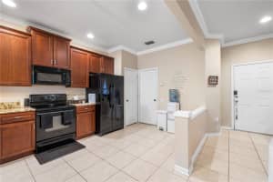 26645 CASTLEVIEW WAY, WESLEY CHAPEL, FL 33544 - MLS#MFRTB8492084
