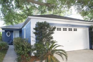 18035 BIRDWATER DRIVE, TAMPA, FL 33647 - MLS#MFRTB8492102