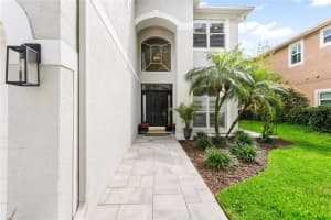 6114 NATIVE WOODS DRIVE, TAMPA, FL 33625 - MLS#MFRTB8492161