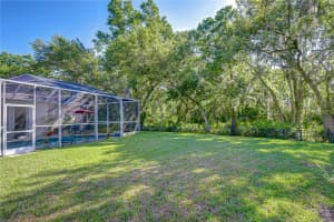 16918 HARRIERRIDGE PLACE, LITHIA, FL 33547 - MLS#MFRTB8492172
