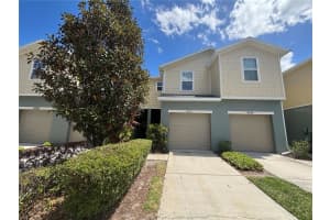 4912 White Sanderling Ct, TAMPA