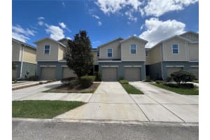 4912 WHITE SANDERLING COURT, TAMPA, FL 33619 - MLS#MFRTB8492175