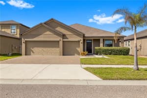 9864 SMARTY JONES DRIVE, RUSKIN, FL 33573 - MLS#MFRTB8492177