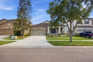 11623 PALMETTO PINE STREET, RIVERVIEW, FL 33569 - MLS#MFRTB8492219