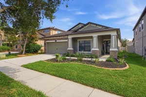 11623 PALMETTO PINE STREET, RIVERVIEW, FL 33569 - MLS#MFRTB8492219