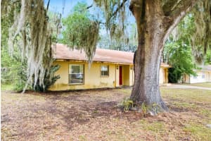 31035 WILLOW BANK AVENUE, BROOKSVILLE, FL 34602 - MLS#MFRTB8492225