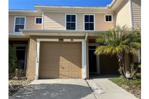 8210 Down Royal Rd, TAMPA