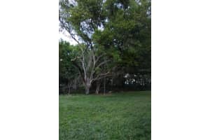 MLS# MFRTB8492244, Valrico, Florida 33594