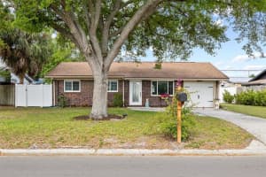 4504 DREISLER STREET, TAMPA, FL 33634 - MLS#MFRTB8492247