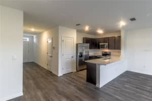 17208 ENGLISH CHESTNUT WAY, LAND O LAKES, FL 34638 - MLS#MFRTB8492286