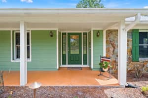 4252 ALPINE ROAD, LAND O LAKES, FL 34639 - MLS#MFRTB8492309