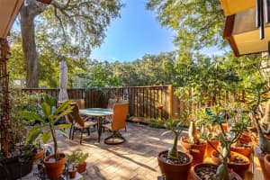 2636 2ND COURT, PALM HARBOR, FL 34684 - MLS#MFRTB8492311