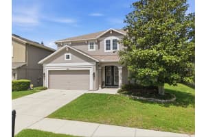 17815 AYRSHIRE BOULEVARD, LAND O LAKES, FL 34638 - MLS#MFRTB8492328