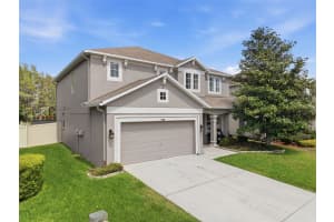 17815 AYRSHIRE BOULEVARD, LAND O LAKES, FL 34638 - MLS#MFRTB8492328