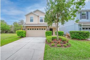 5204 BANNISTER PARK LANE, LITHIA, FL 33547 - MLS#MFRTB8492345