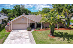 20 FERNBROOK ROAD, OLDSMAR, FL 34677 - MLS#MFRTB8492357