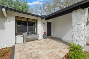 4829 PARSON BROWN LANE, PALM HARBOR, FL 34684 - MLS#MFRTB8492366