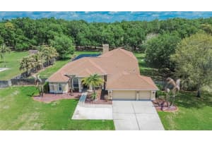 9454 SWIFT CREEK CIRCLE, DOVER, FL 33527 - MLS#MFRTB8492381