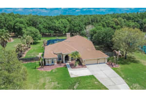 9454 SWIFT CREEK CIRCLE, DOVER, FL 33527 - MLS#MFRTB8492381