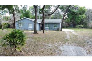12022 RIVERHILLS DRIVE, TAMPA, FL 33617 - MLS#MFRTB8492384