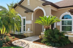 22810 COLLRIDGE DRIVE, LAND O LAKES, FL 34639 - MLS#MFRTB8492391