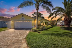 10800 NEW BRIGHTON COURT, NEW PORT RICHEY, FL 34654 - MLS#MFRTB8492416