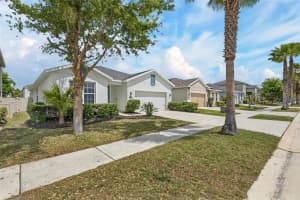 11113 SPRING POINT CIRCLE, RIVERVIEW, FL 33579 - MLS#MFRTB8492443