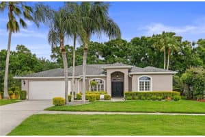 15805 MUIRFIELD DRIVE, ODESSA, FL 33556 - MLS#MFRTB8492486