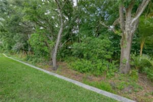 15805 MUIRFIELD DRIVE, ODESSA, FL 33556 - MLS#MFRTB8492486