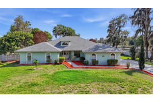 20140 COUNTY LINE ROAD, LUTZ, FL 33558 - MLS#MFRTB8492501