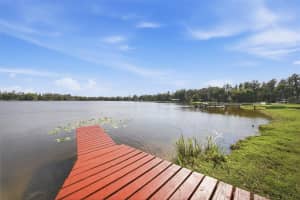 20140 COUNTY LINE ROAD, LUTZ, FL 33558 - MLS#MFRTB8492501