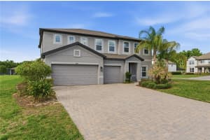 9714 PROVENCAL AVENUE, SEFFNER, FL 33584 - MLS#MFRTB8492517