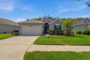 3839 GRECKO DRIVE, WESLEY CHAPEL, FL 33543 - MLS#MFRTB8492540