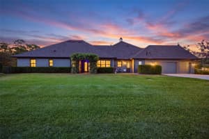 19118 MAGNOLIA FARMS LANE, ODESSA, FL 33556 - MLS#MFRTB8492548