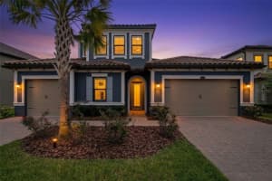 29657 Picana Ln, WESLEY CHAPEL