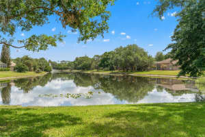 5021 WESLEY DRIVE, TAMPA, FL 33647 - MLS#MFRTB8492572