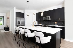 2424 DUCK HAWK STREET, KISSIMMEE, FL 34746 - MLS#MFRTB8492580